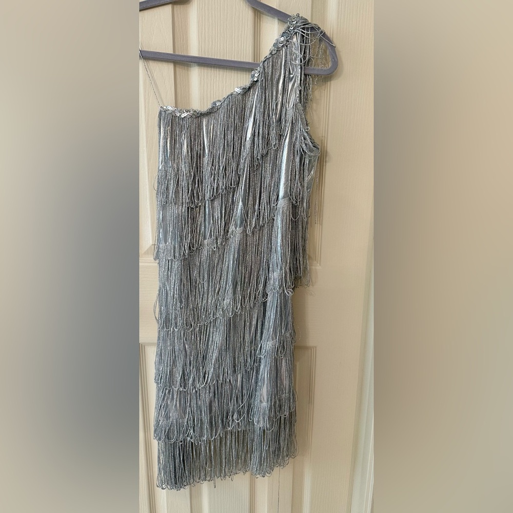 Halloween Costume Silver vintage Flapper Fringe Dress